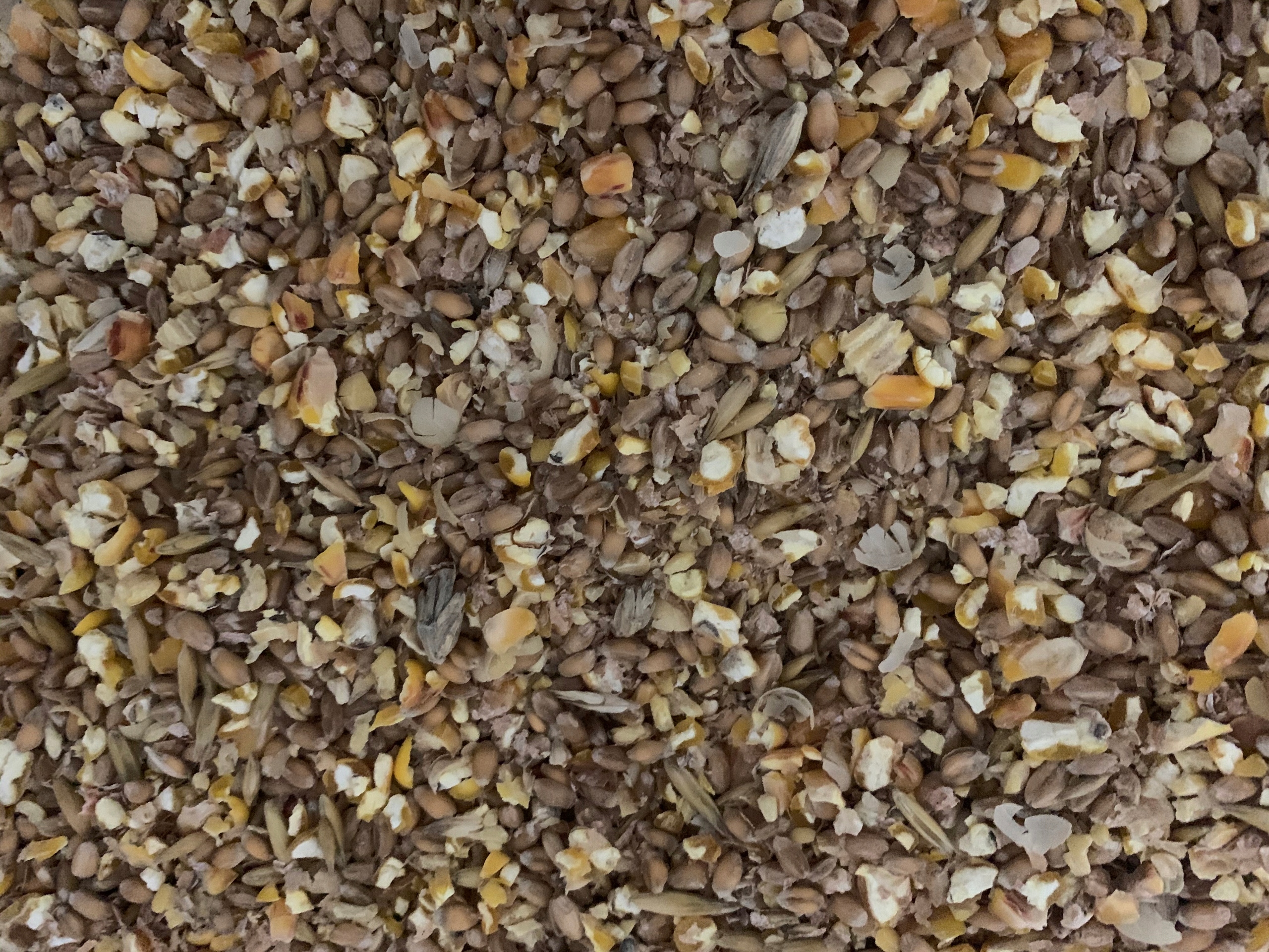 Pasza zbożowa- Naturalna 25 Kg