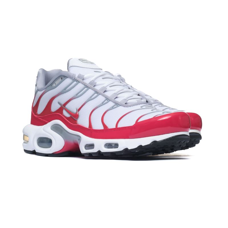Nike Air Max Plus IF6224-101 41