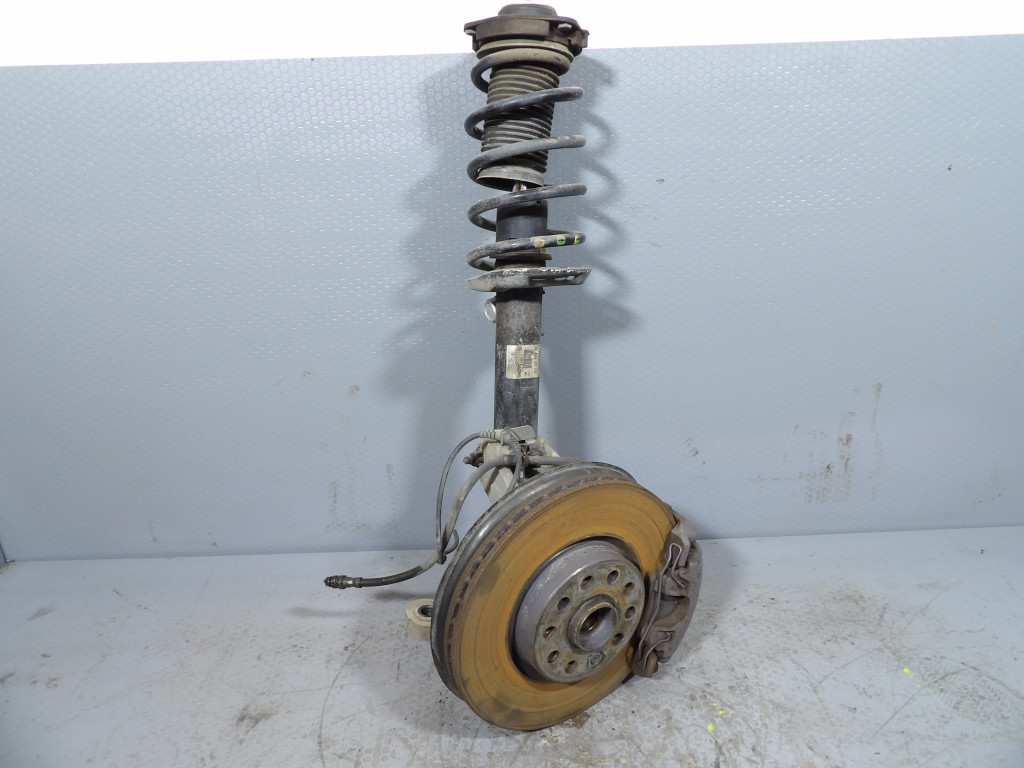 VW PASSAT B6 2.0FSI MCPERSON right 3C0413031AA