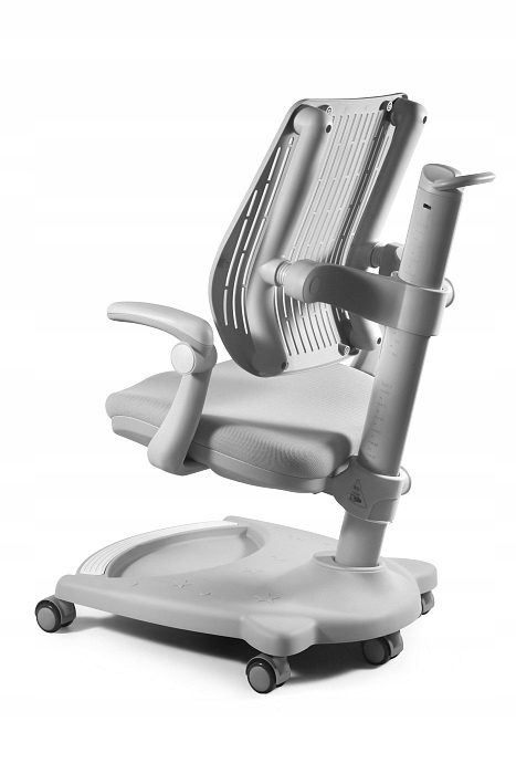 Fotel dla dziecka Randy regulacje biurko Kod producenta RANDY