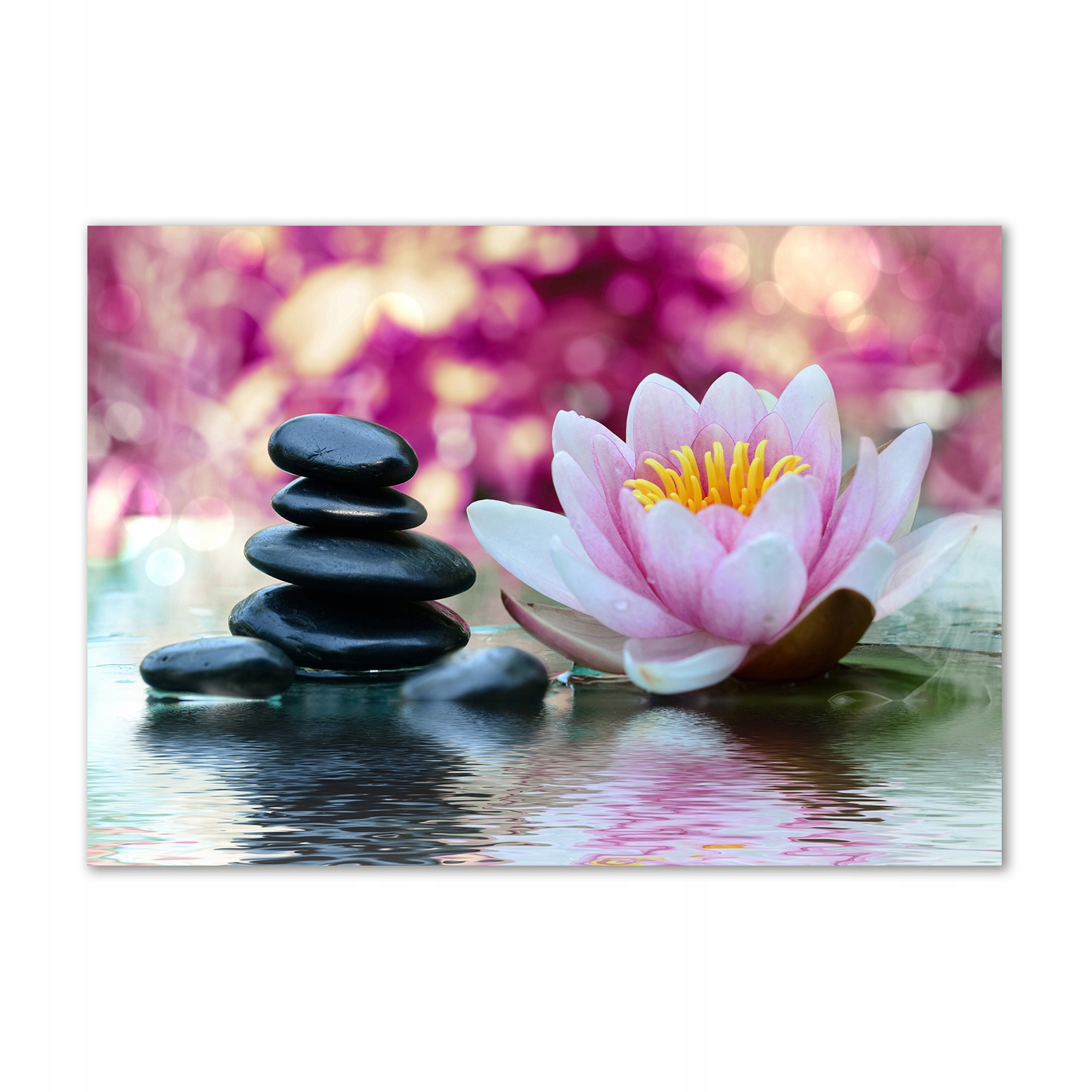 

Obraz zdjęcie szkło akrylowe Lilia wodna 100x70 cm