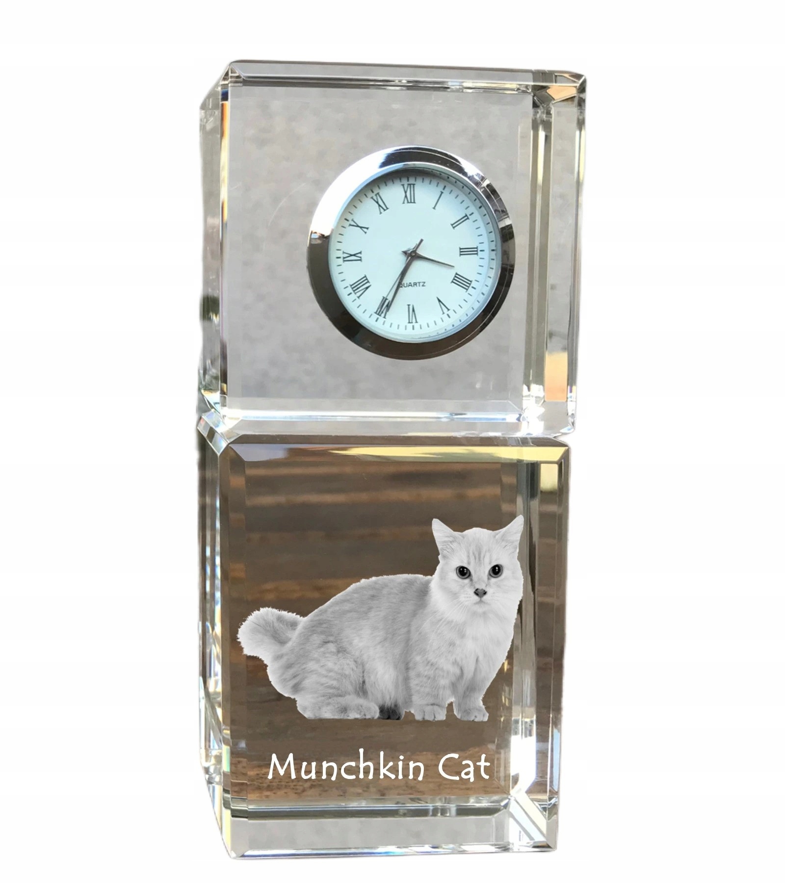 Mačka Munchkin krištáľové stolové hodiny s vašou fotografiou, suvenír, odmena
