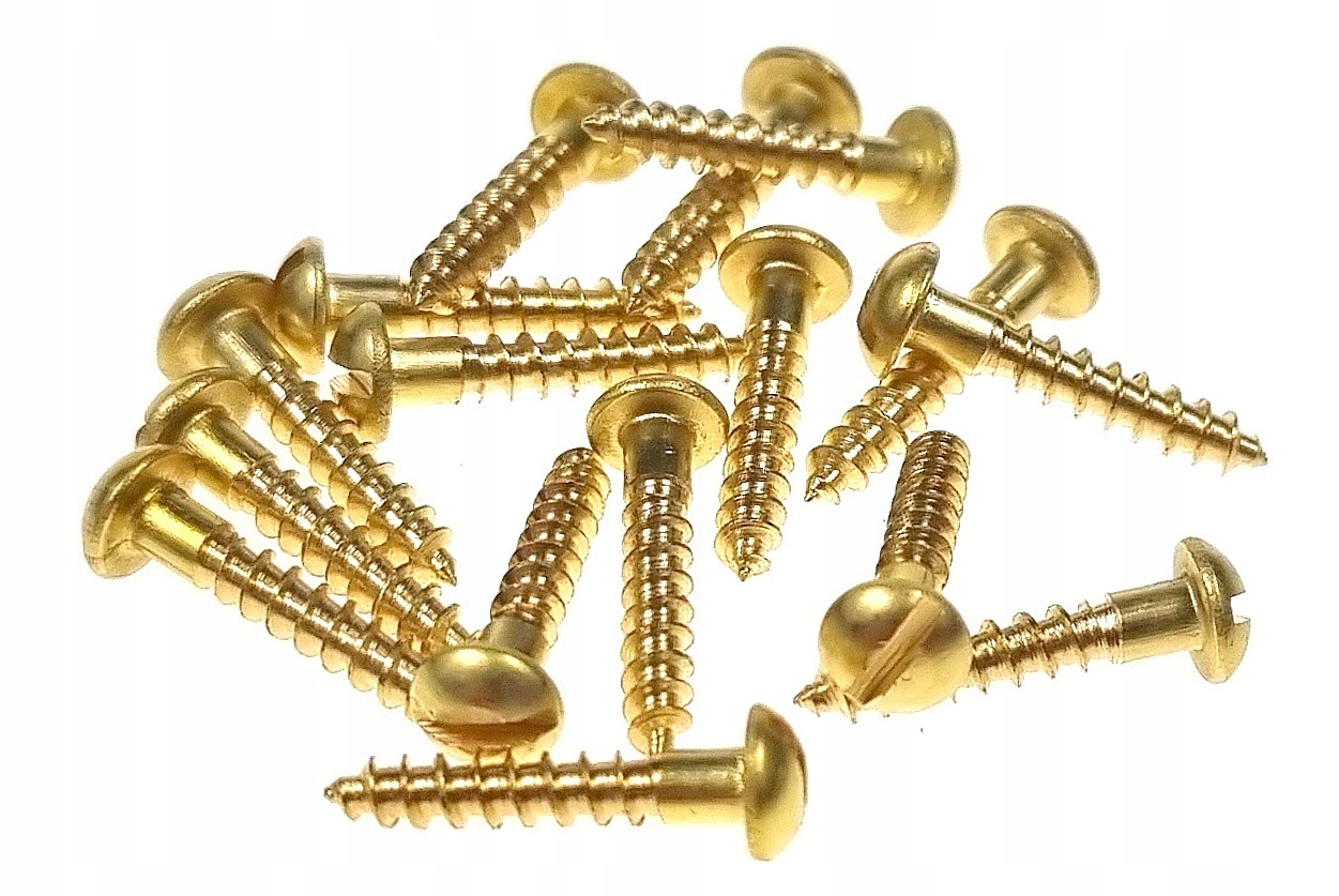 

Wkręt mosiężny 3,0 x 16 mm opak. 30 szt.