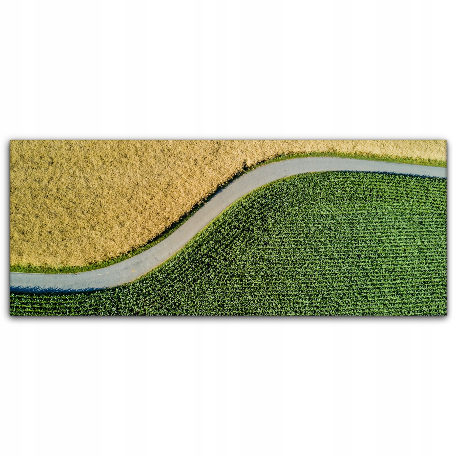 

Obraz canvas na ścianę 125x50 Krajobraz Pole Droga
