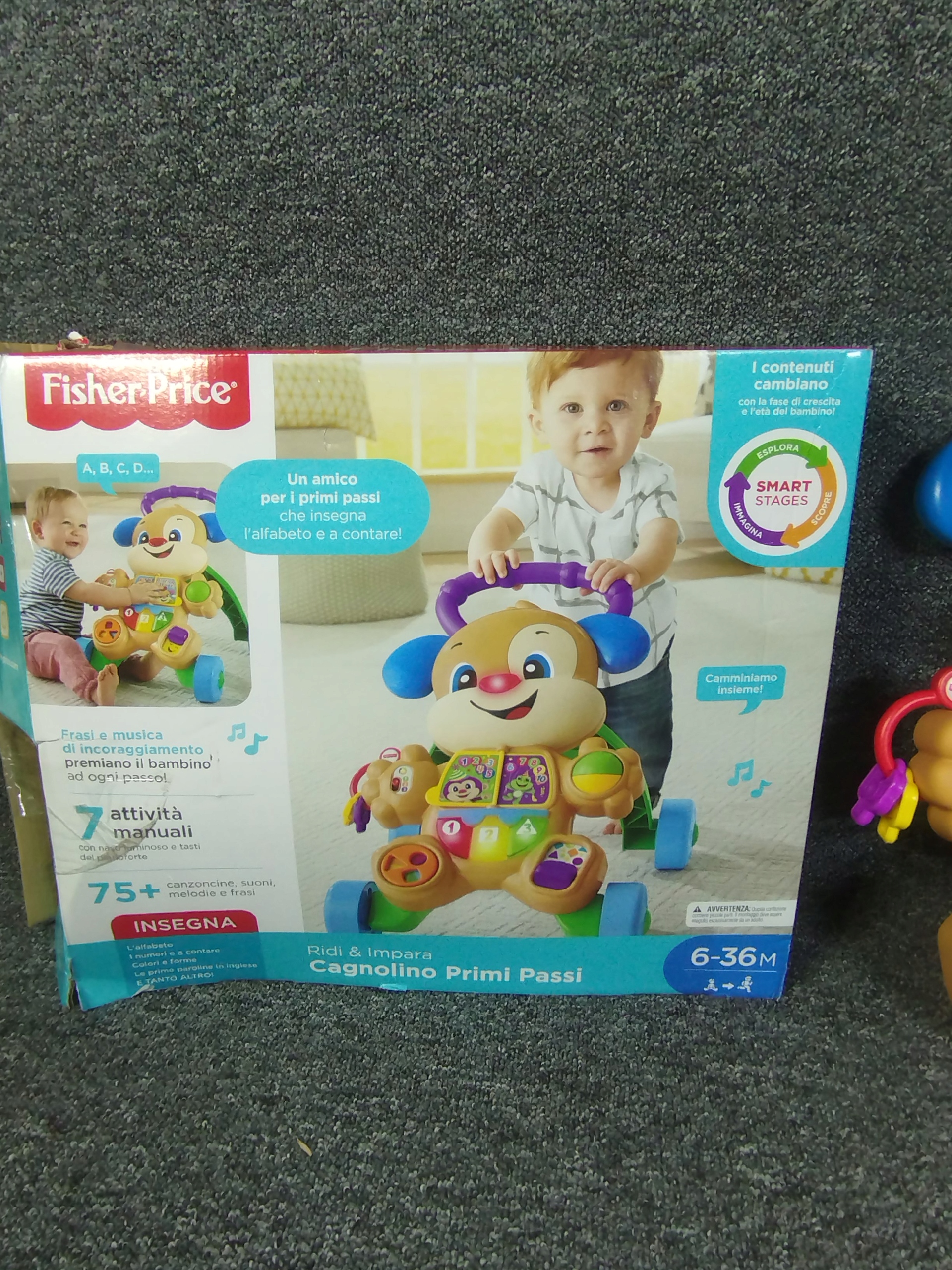Chodzik pchacz Fisher Price - JĘZYK WŁOSKI 4775 Płeć chłopcy dziewczynki