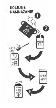 EKO JOGURT L+ | Sun & Food | liofilizowane kultury startowe | dr Kempisty Kod producenta EKO Jogurt L+