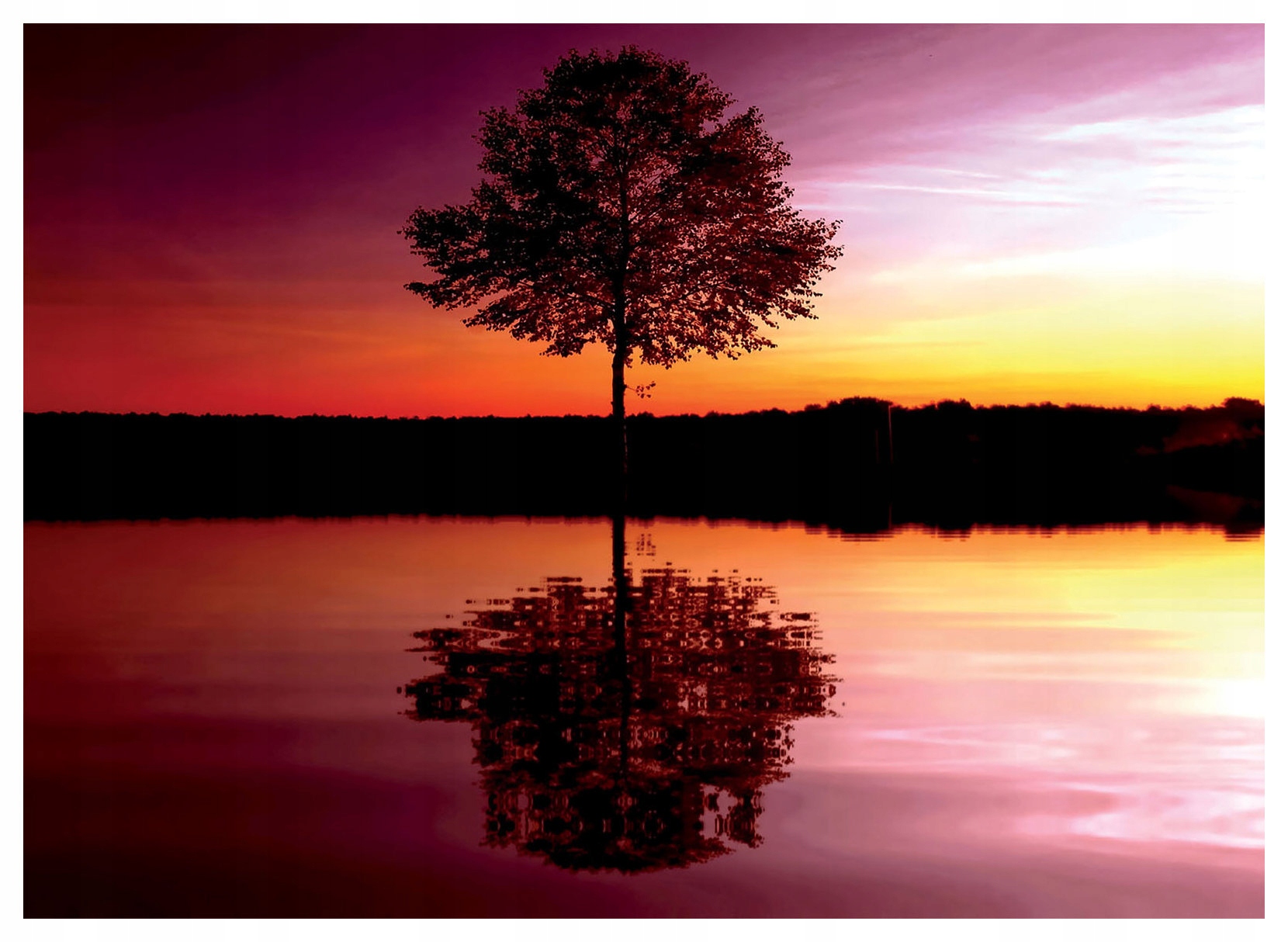 Fototapeta Strom Západ Voda Nebo vinylová 368x254 lepidlo