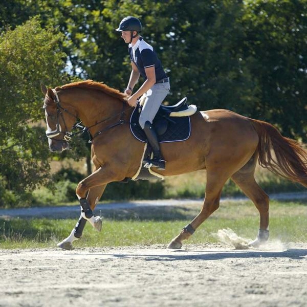 Черевики для верхової їзди Maximus KAVALKADE розмір 38M Чорні