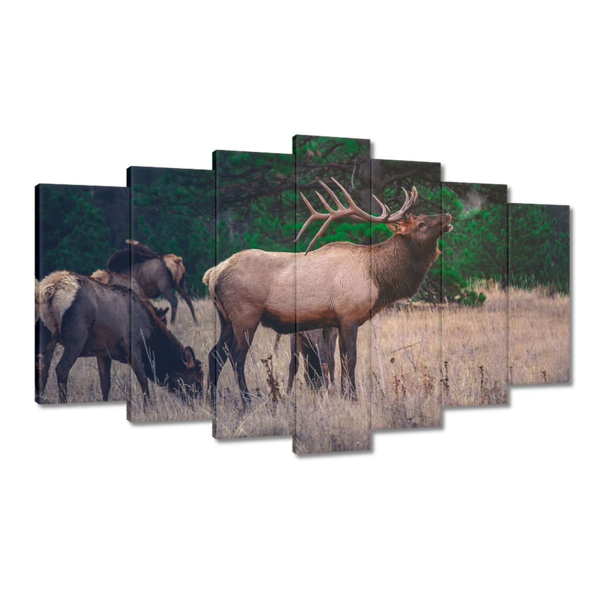 Obrazy 140x80 Jelen Jelení Les Krajina