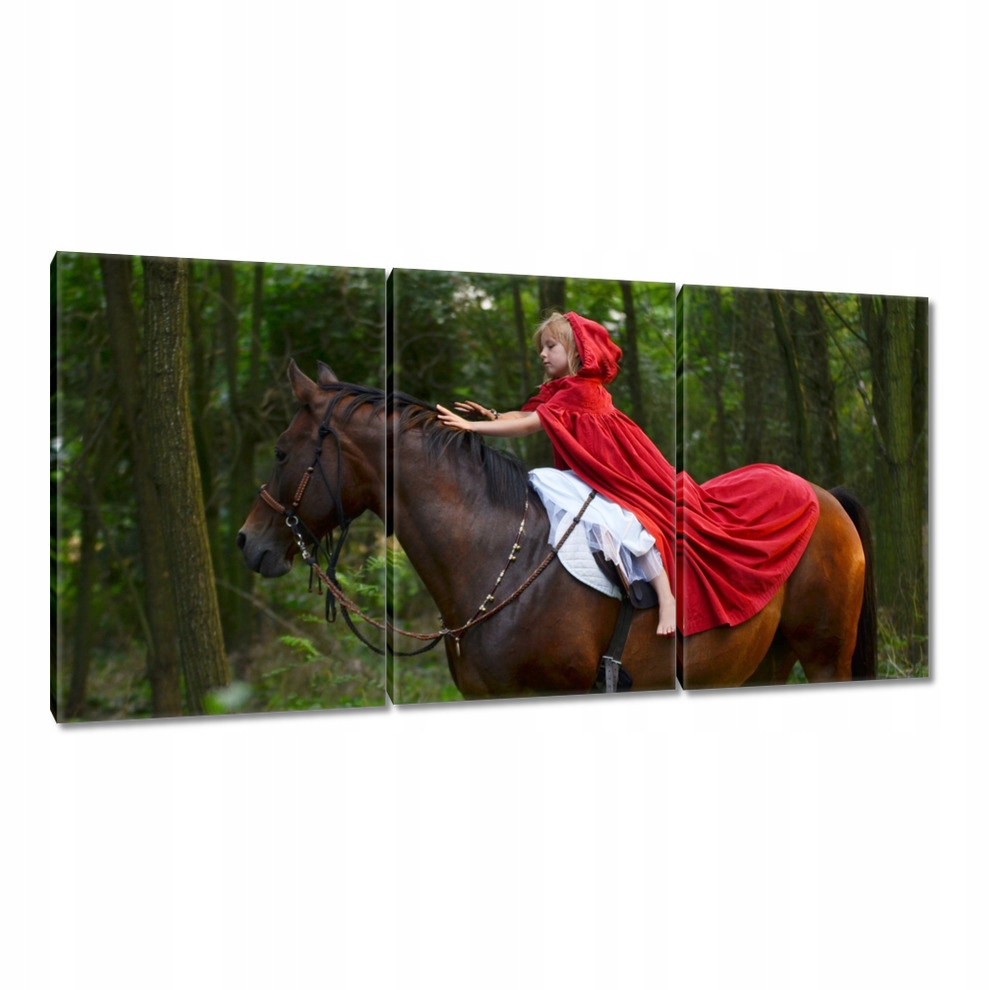 

Obrazy 120x60 Koń Konie Jeździectwo