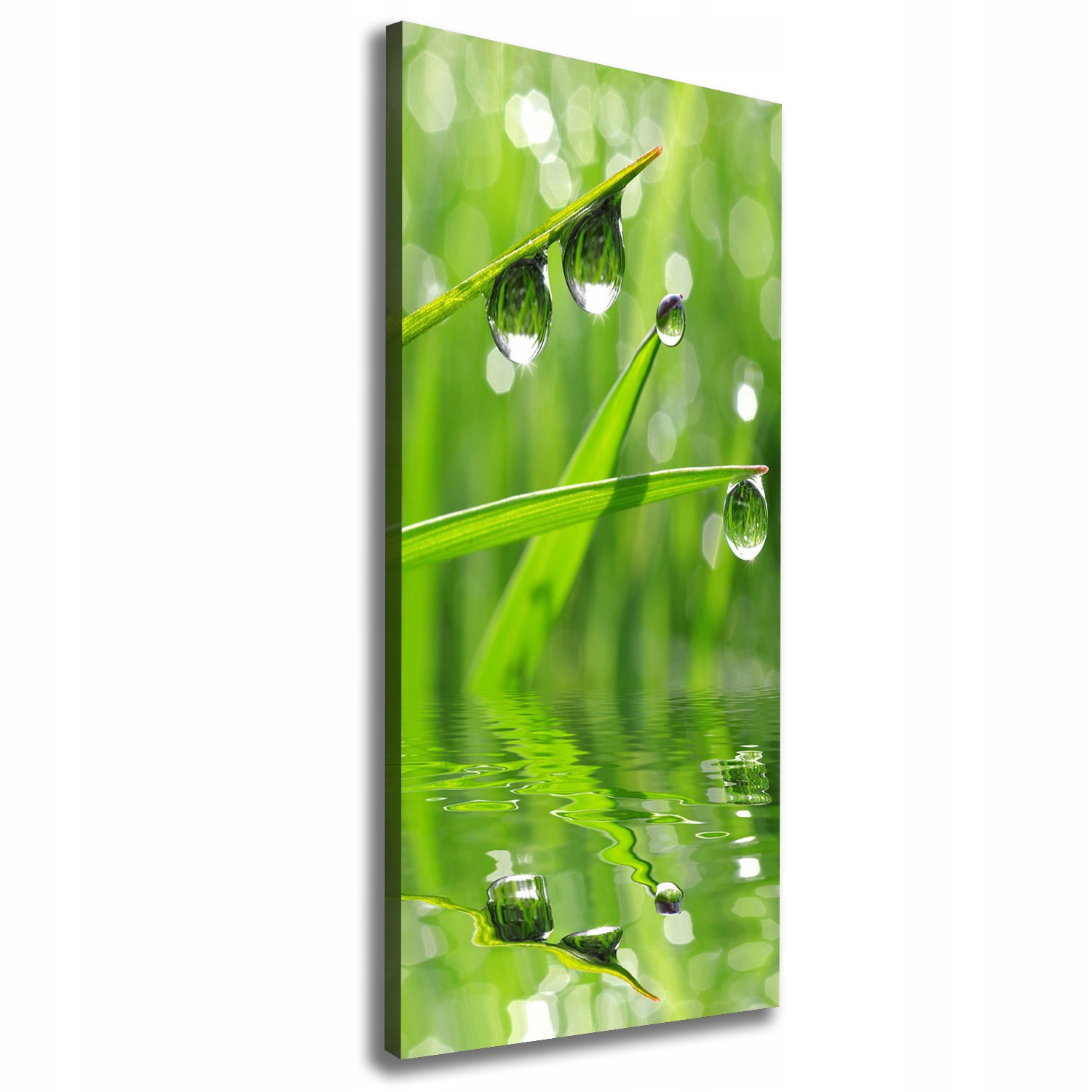 

Foto obraz canvas do salonu Źdźbła trawy 50x125