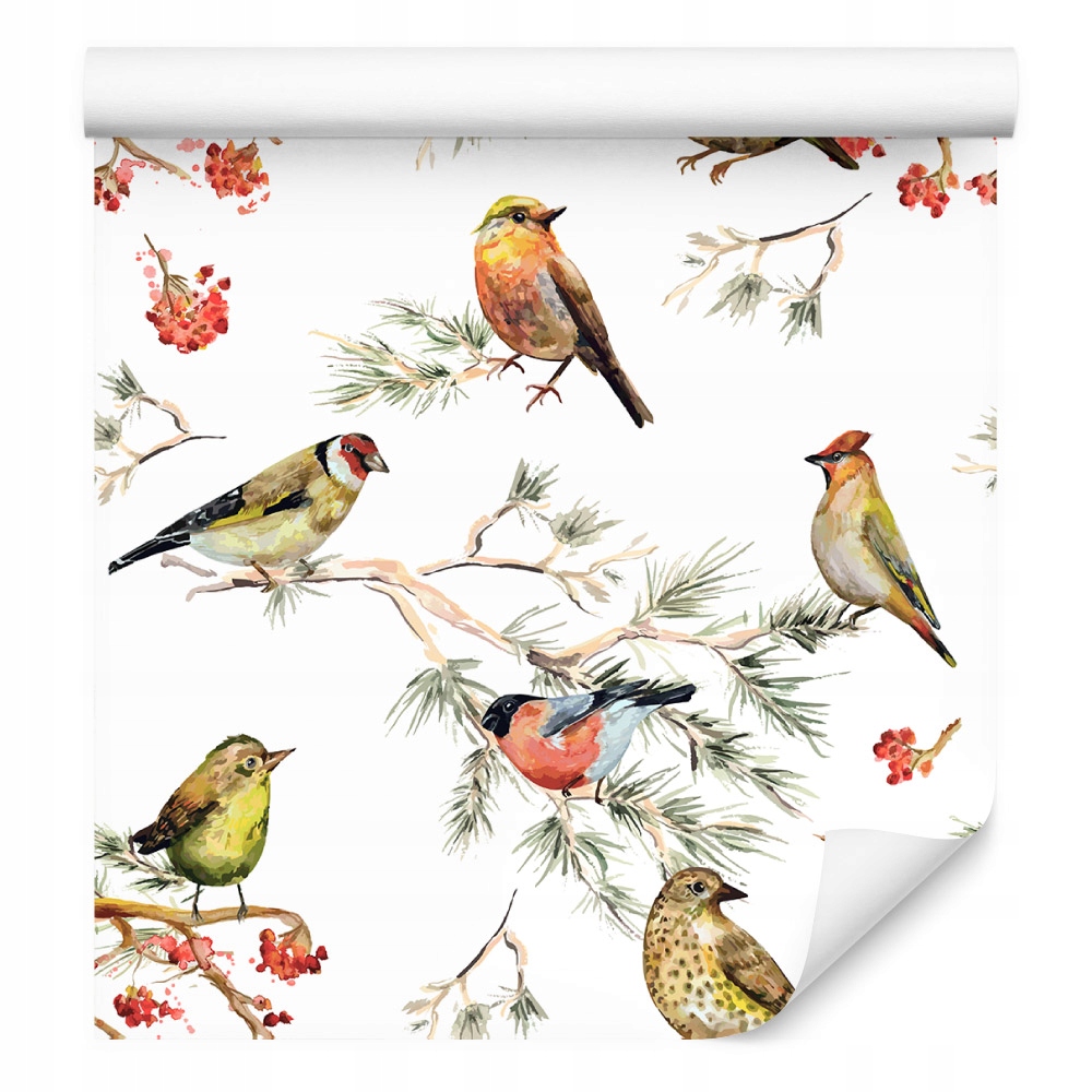 Tapeta Vícebarevní ptáci /256635976