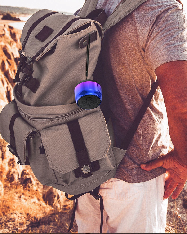 Mini Subwoofer Audio Przenośny Model 100