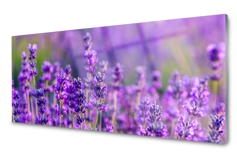 

Panel szklany do kuchni Pole Lawenda 125x50