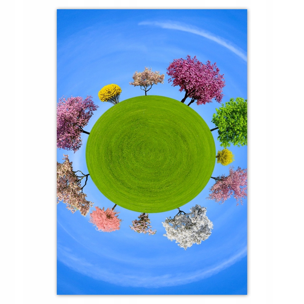 

Plakaty 62x93 Drzewo Drzewa Widok