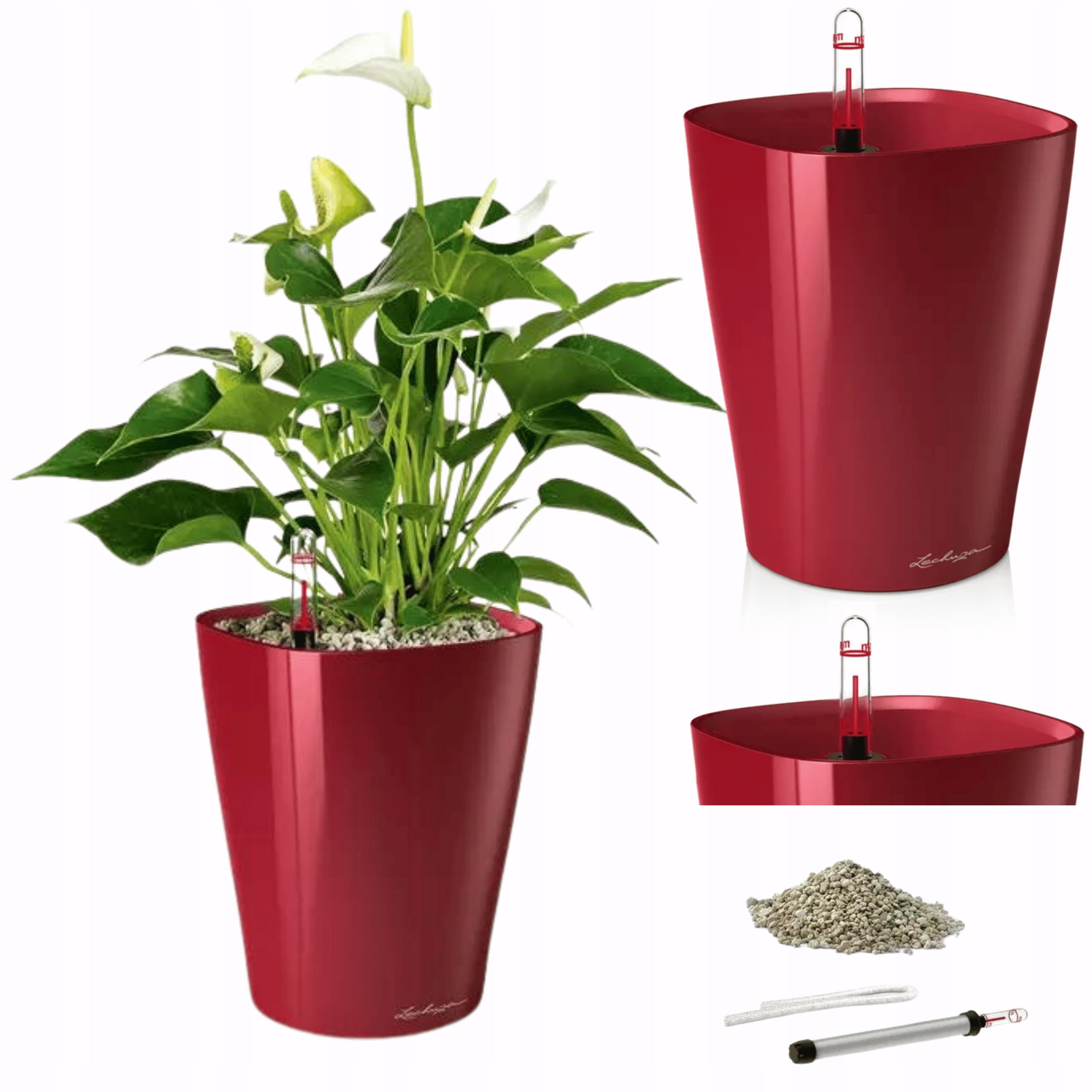 Doniczka Lechuza Deltini samonawadniająca Czerwony zawiera Lechuza Pon