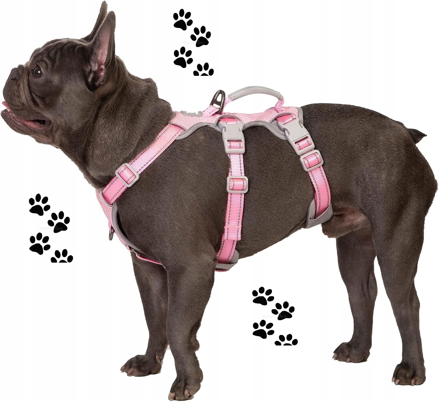 Levně Postroj Reflexní vesta pro psa Nastavitelná velikost S Malí psi Růžová