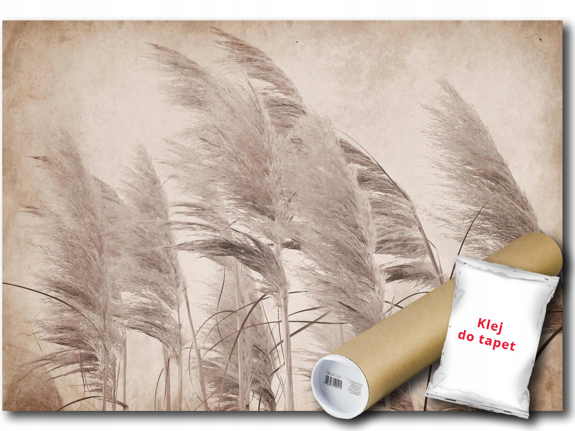 Fototapeta Vliesová Tráva Pampasová 368x254