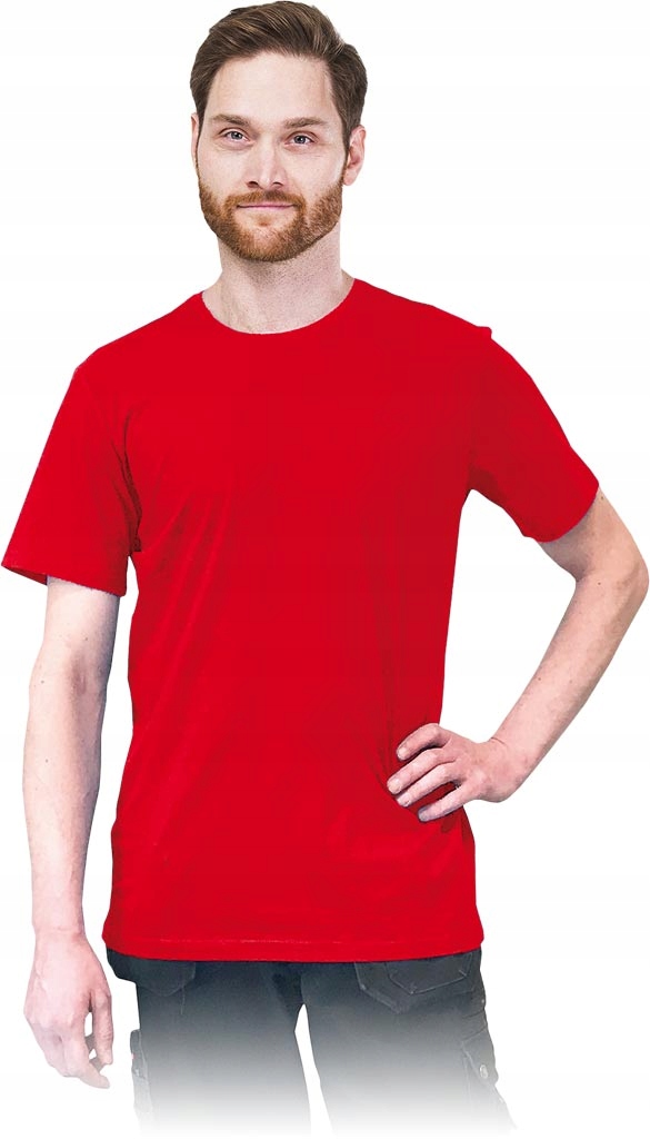 

T-shirt Męski Koszulka 100% Bawełna Tsr-long 2XL