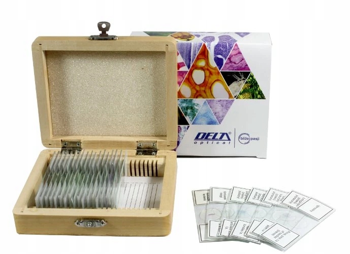 Zestaw preparatów Delta Optical 25 szt do mikroskopów Szkolne
