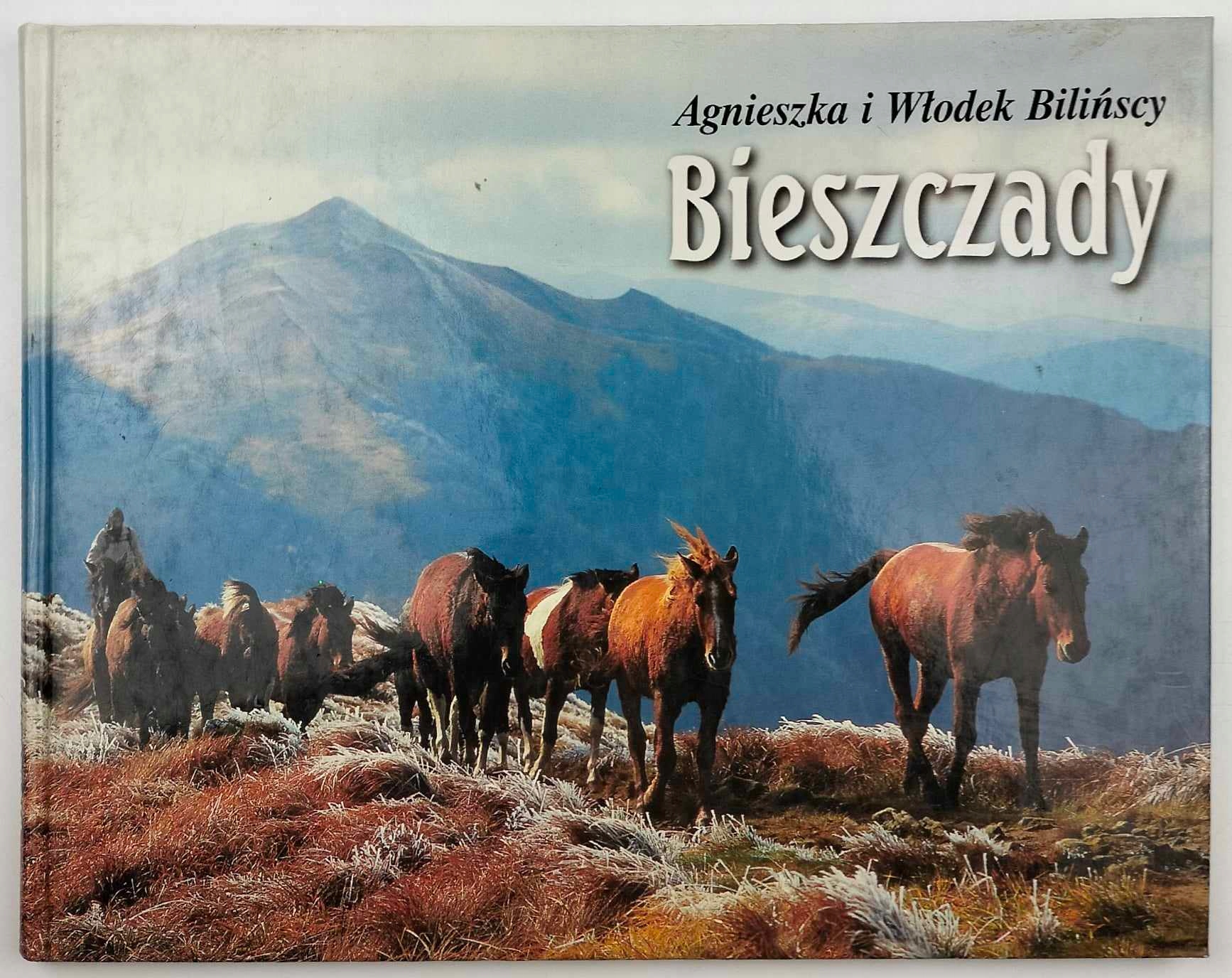 Bieszczady - A. Bilińska