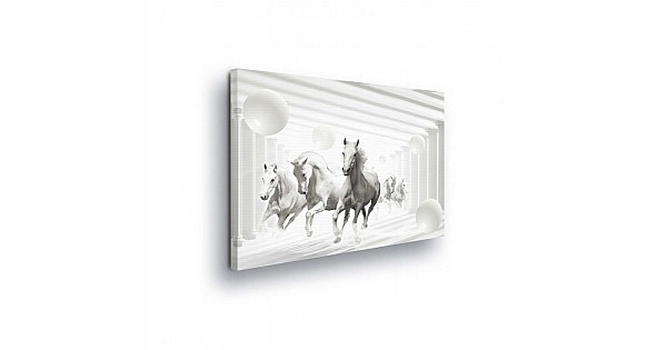 Obraz 80x60 Kůň koně rychlost svoboda grácie pohyb dynamika energie