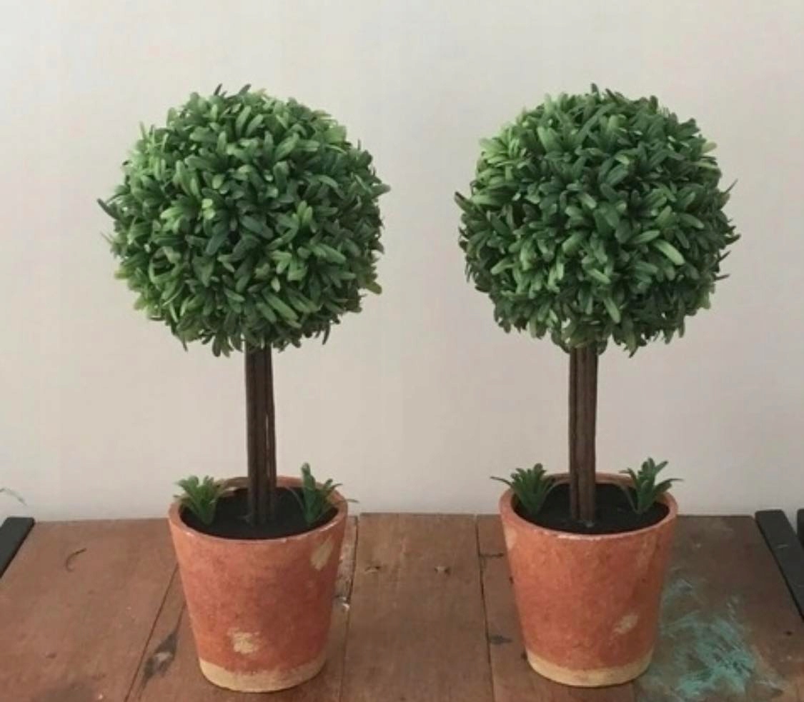 NOŻYCZKI SEKATOR DO PIELĘGNACJI ROŚLIN DOMOWYCH Zasilanie ręczne