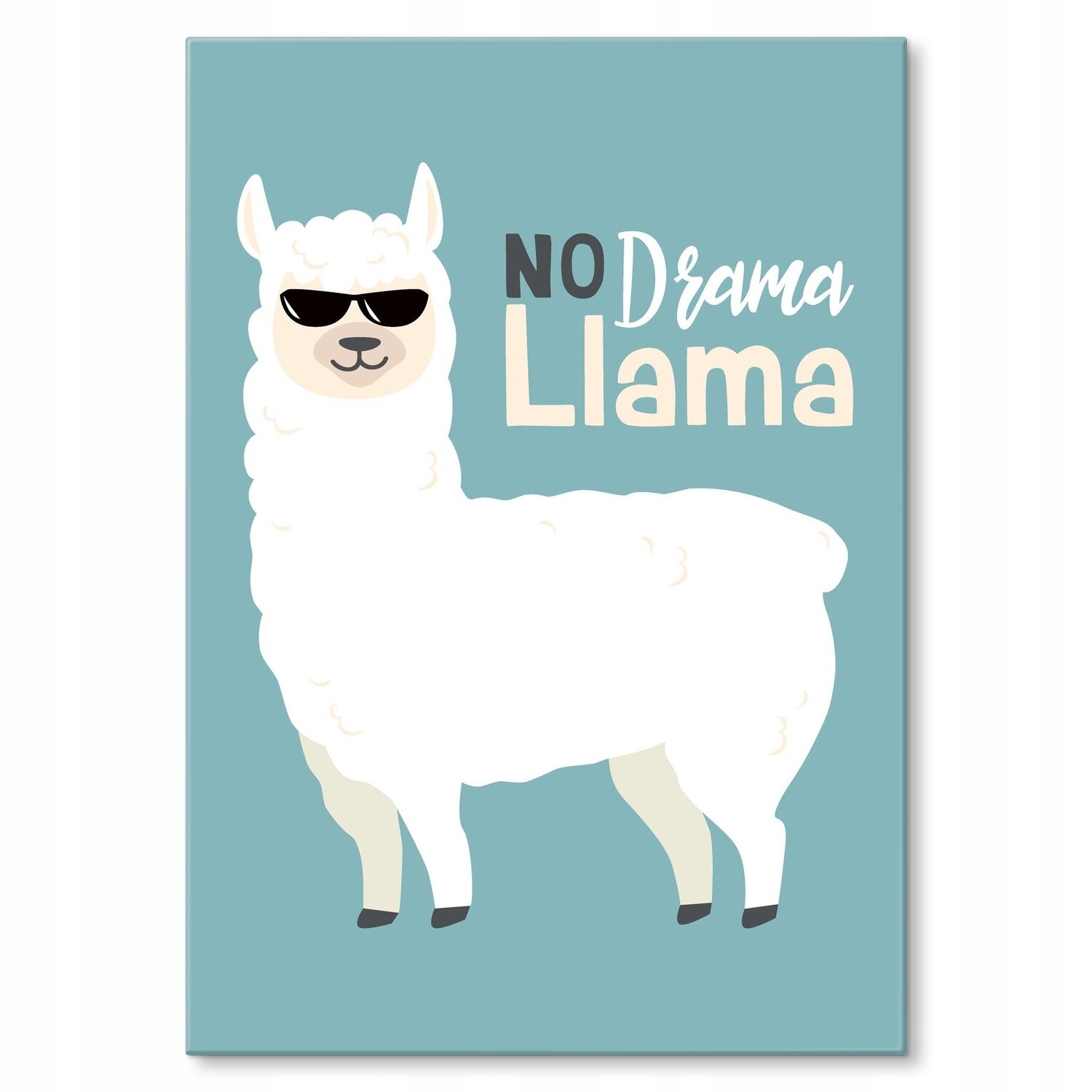 Kovový plakát No drama lama Dárek 30 x 42 cm