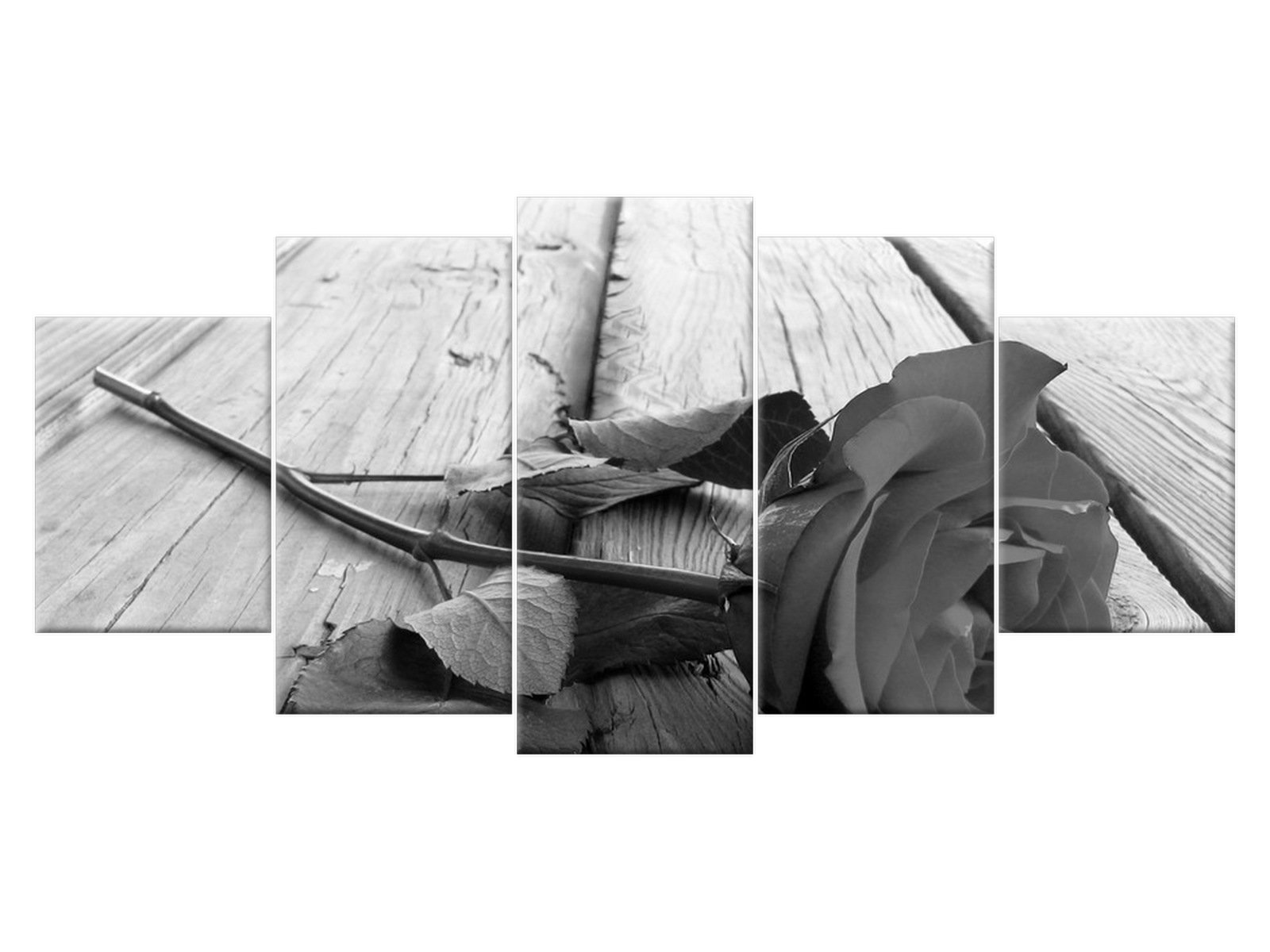 

Obraz Czarna piękność 150x70 Kwiaty 1624A_5B