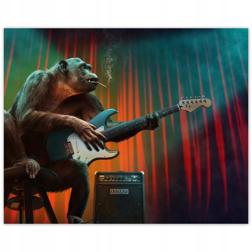 

Plakat 50x40 Ale się małpisz