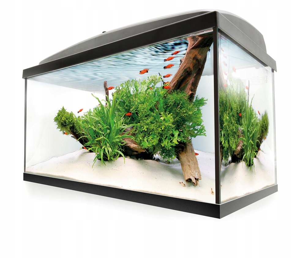

Full Zestaw Akwarium Prosty 72L Wyposa 60x30x40