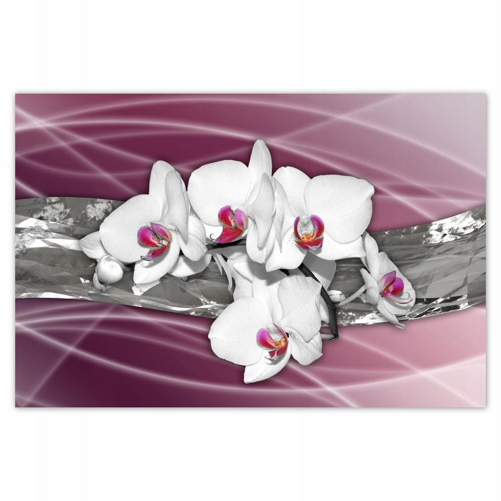 

Plakaty 60x40 Storczyki