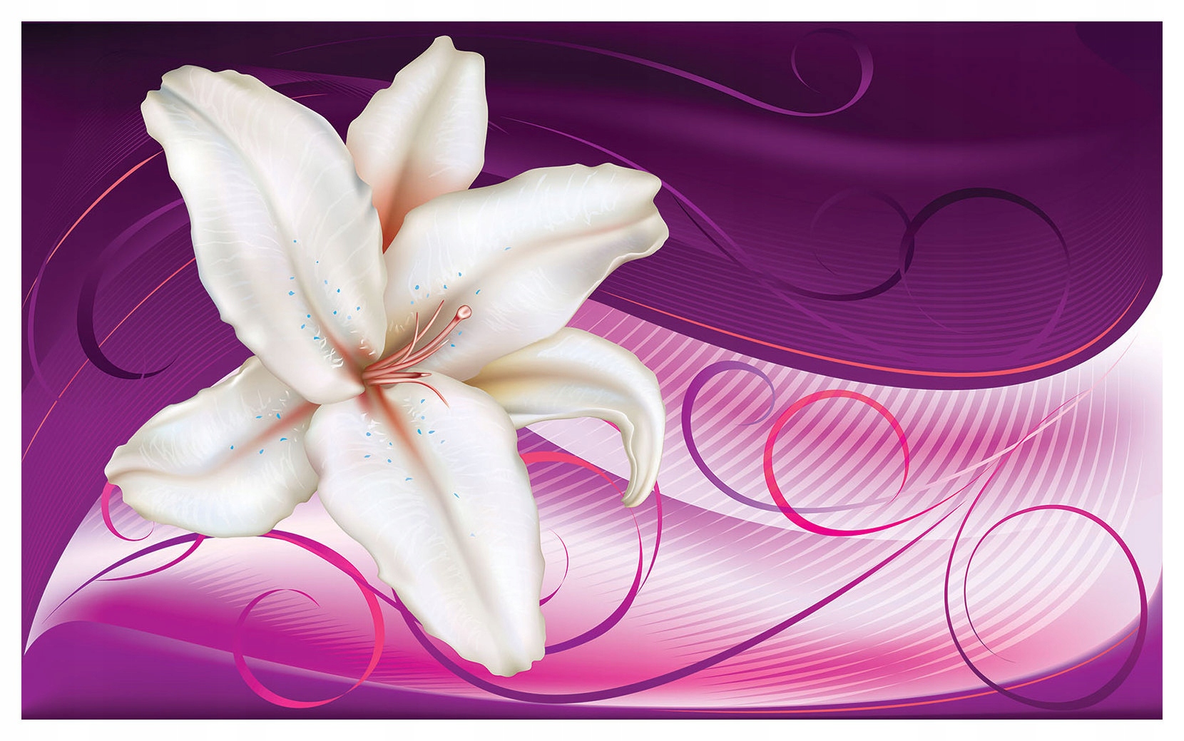 Fototapeta Lilie Fuchsia biela fialová Jemný gradient 312x219 lepidlo