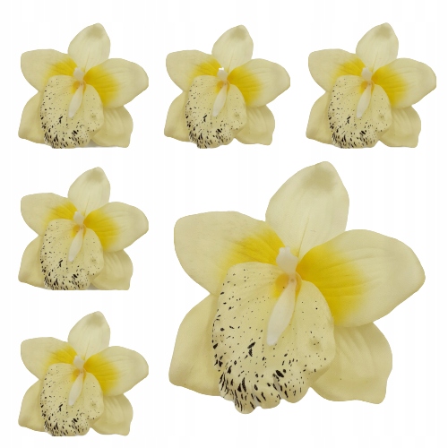 

Storczyk Główka Cymbidium sztuczny Duży 13cm 6szt