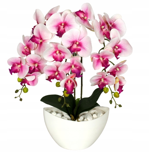 

Storczyk Sztuczny Orchidea Kwiaty Silikonowy