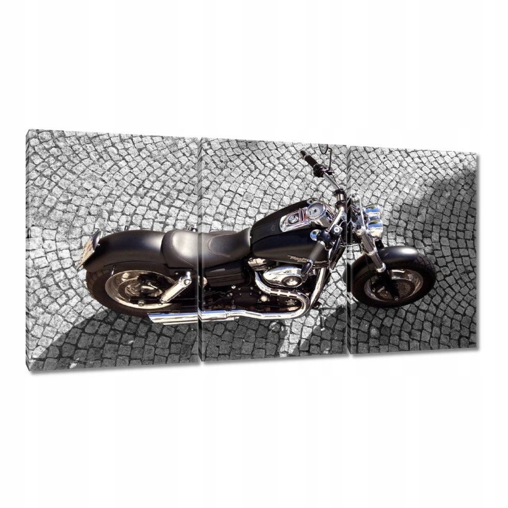 

Obrazy 120x60 Harley Davidson