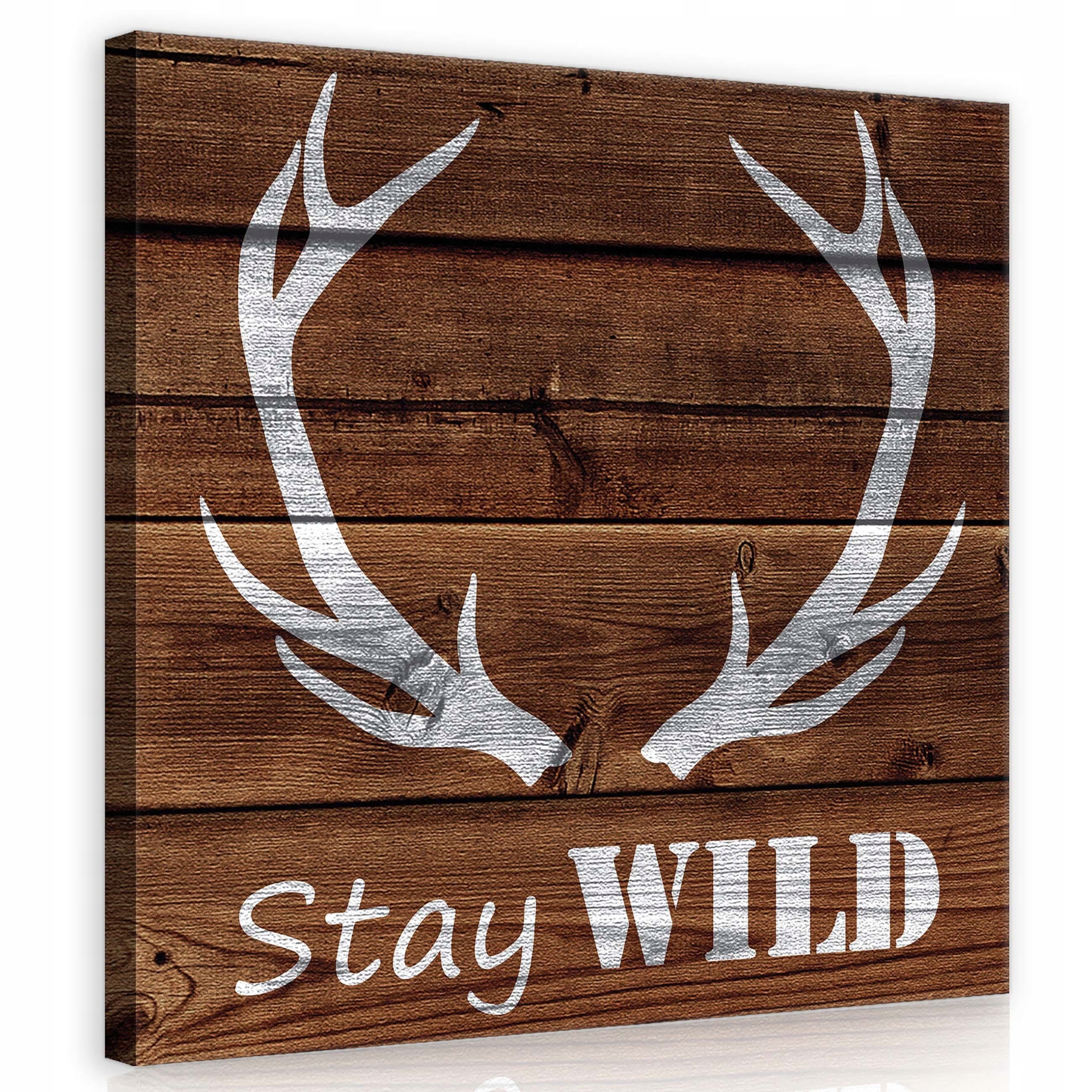 Obraz 80x80 Stay Wild jelení parohy venkovský strom příroda svoboda divoká
