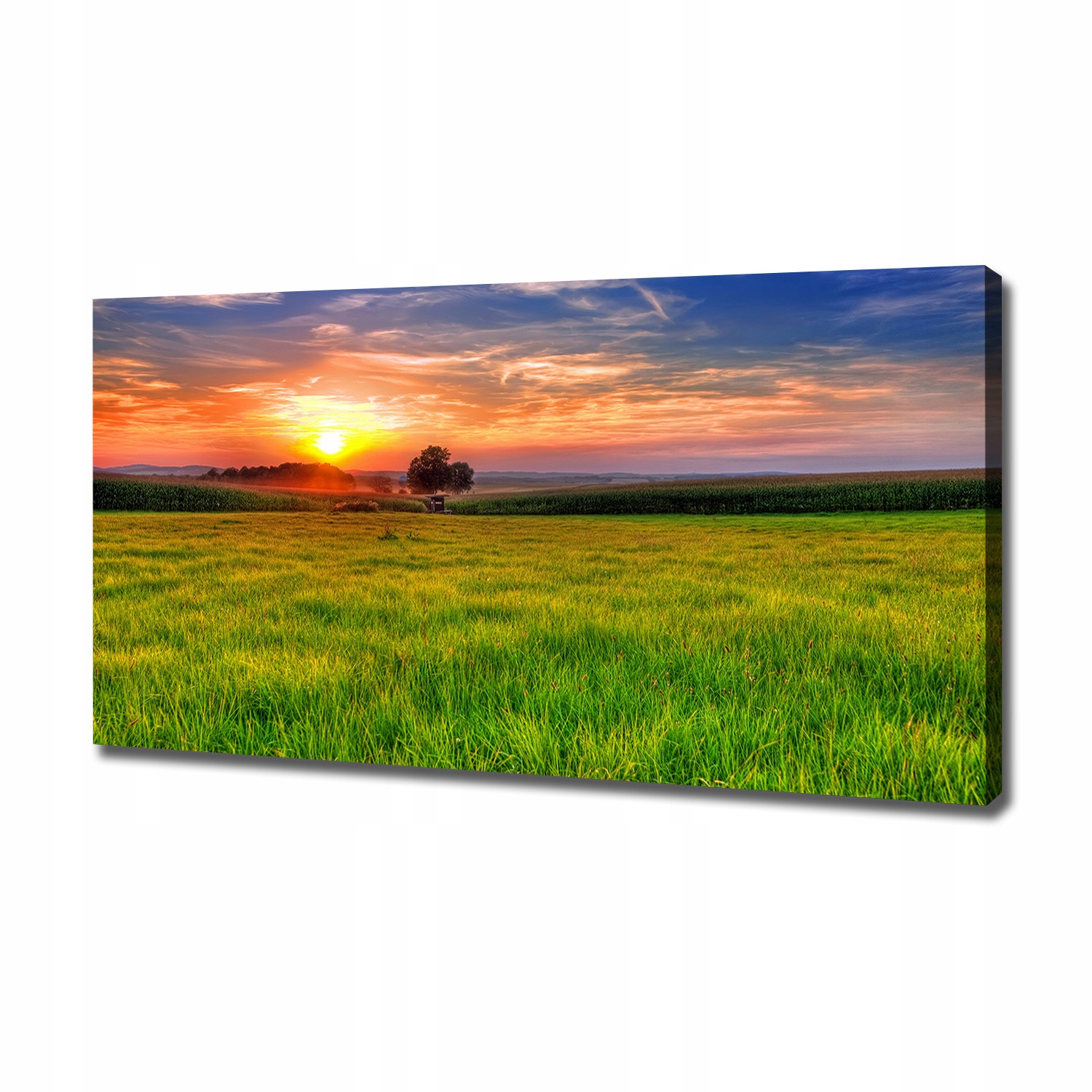 

Foto obraz na płótnie Zachód słońca łąka 120x60 cm