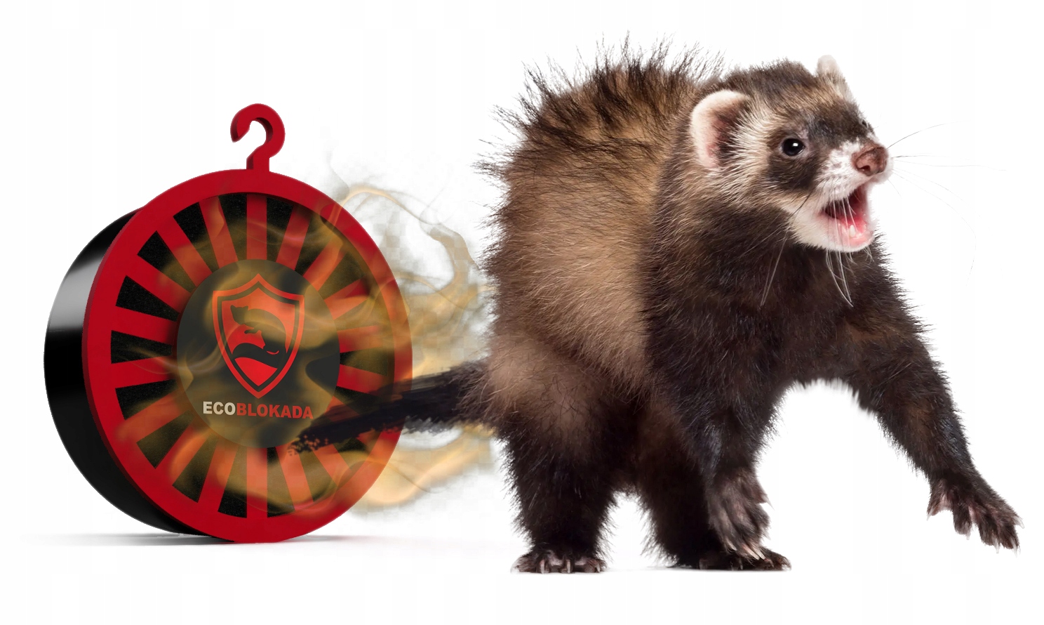 ECOBLOKADA ODSTRASZACZ DO SAMOCHODU NA KUNY PREPARAT PŁYN STOP ZAWIESZKA X5 Numer katalogowy producenta ANTY ZAWIESZKA NA KUNY