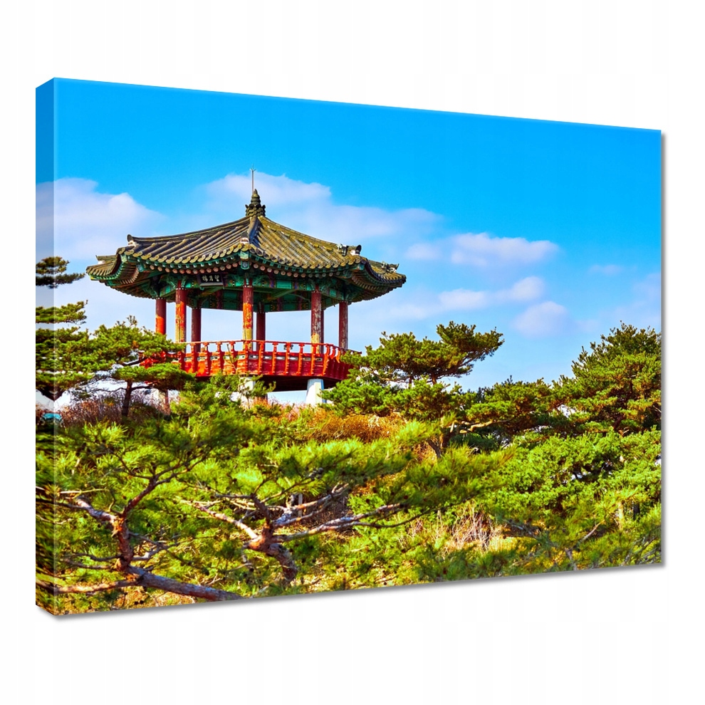 

Obraz 50x40 Japonia Orient