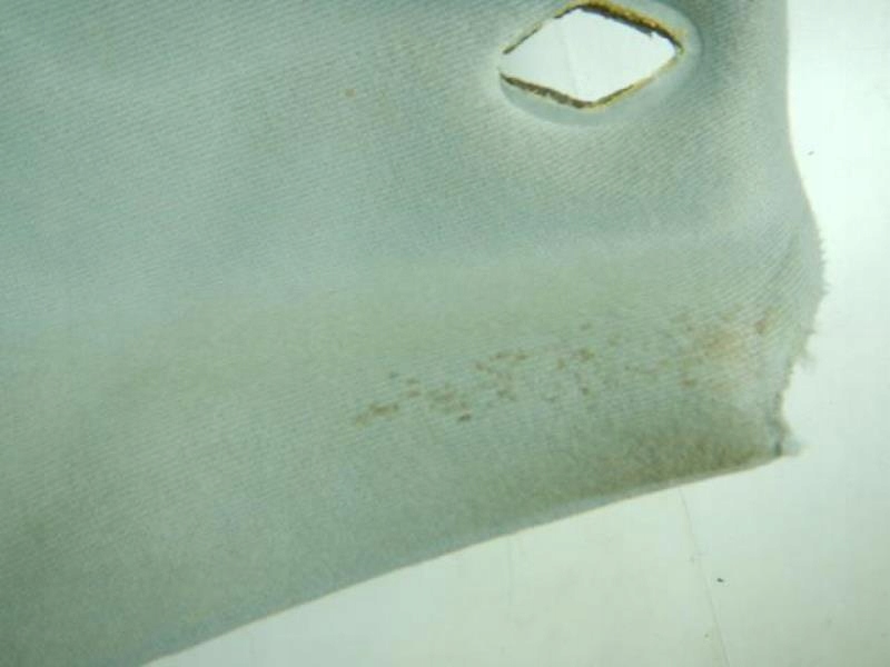 CIELO INTERNO SUZUKI SX4 06-13 / 7811079J106GS