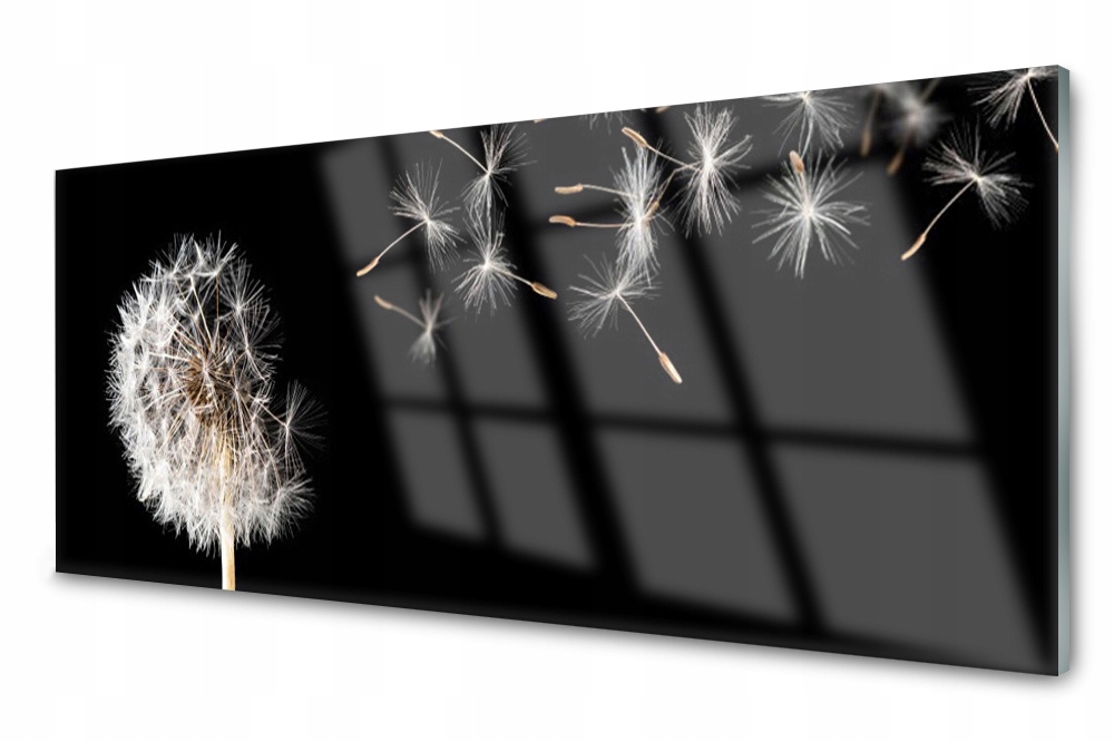 

Panel szklany do kuchni Dmuchawiec Kwiat 125x50