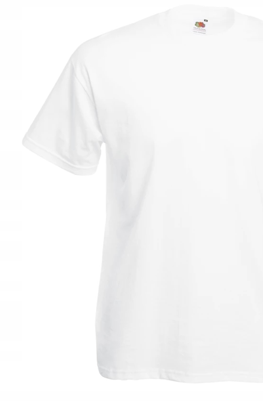 KOSZULKI VALUE WEIGHT DTG reklamowe Z LOGO 5 szt