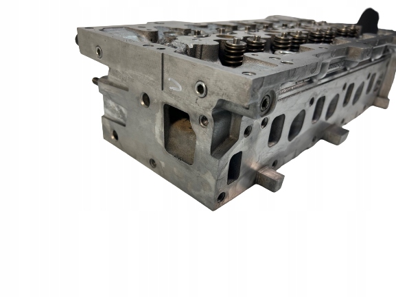 Głowica 1.3 JTD FIAT DOBLO FIORINO Qubo 55188595 EURO 4 2004-11r Numer katalogowy oryginału 1.3 CDTI 1.3 DDIS 1.3 JTD 1.3 multijet 500 55188595 55193111 55228032 73500052 COMBO CORSA DOBLO EVO FIAT FIORINO GRANDE MERIVA OPEL PANDA QUBO