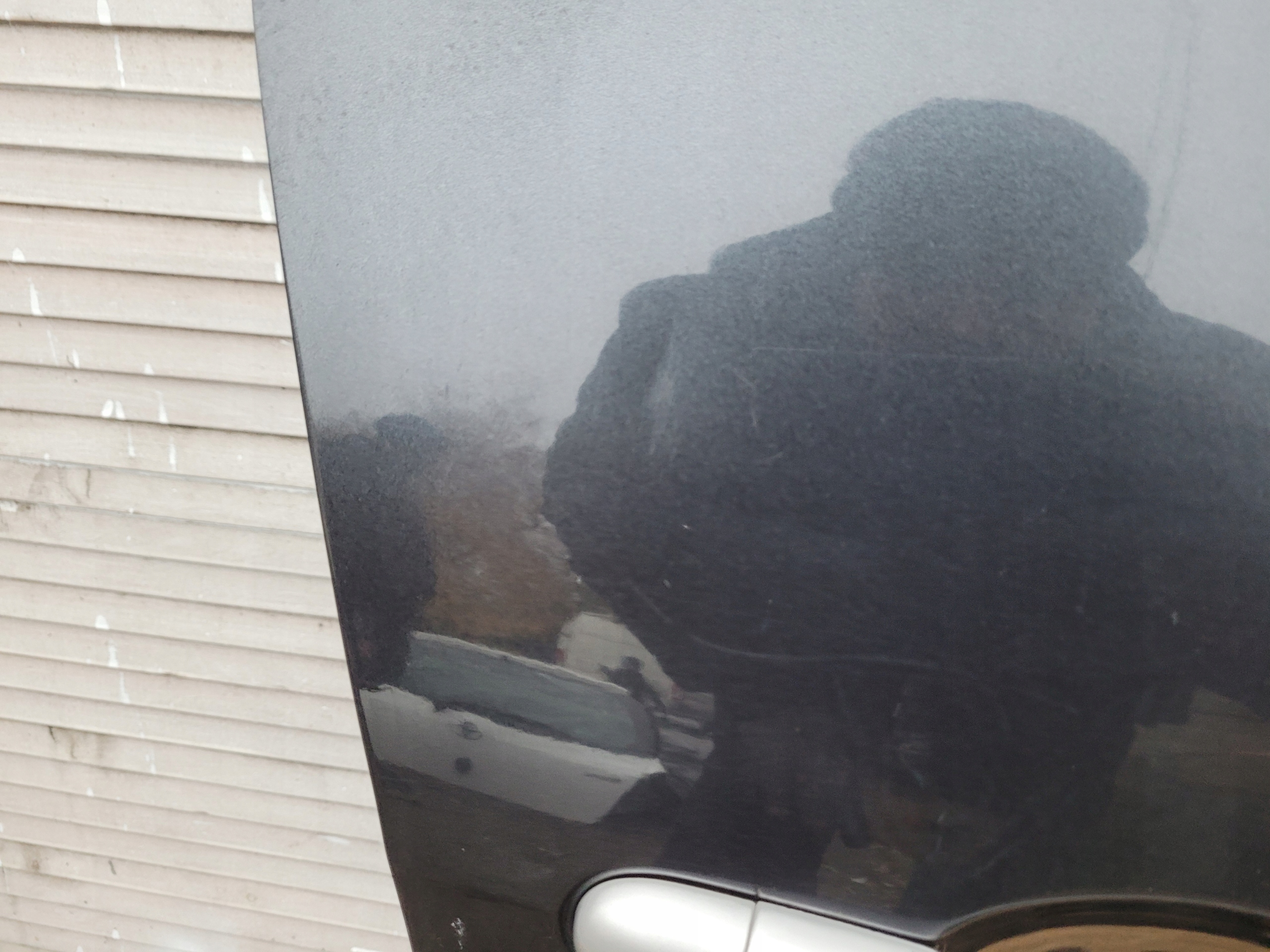 door front front right RENAULT SCENIC III 3