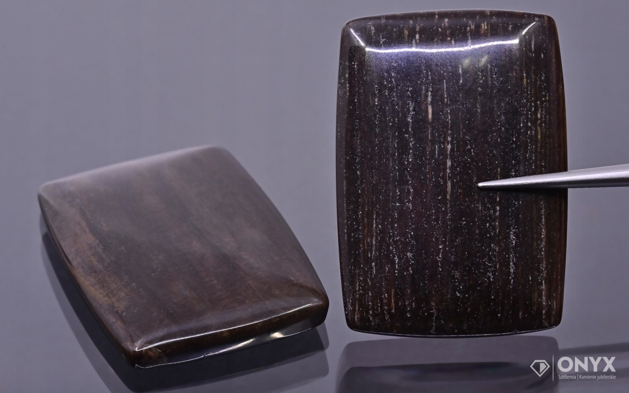 Zkamenělé dřevo nízký kabošon cushion 35,5x25 mm