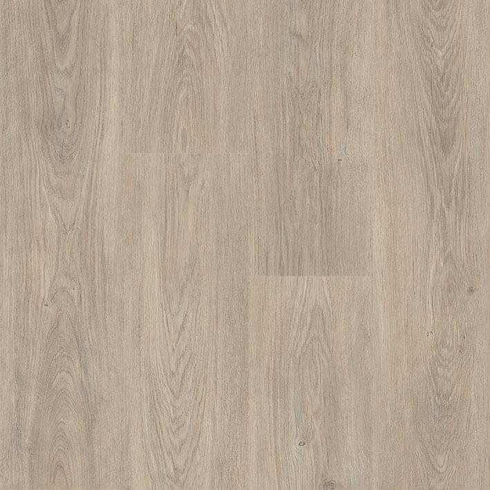Panele podłogowe FAUS Sense - Salt Oak AC6 8mm D?b