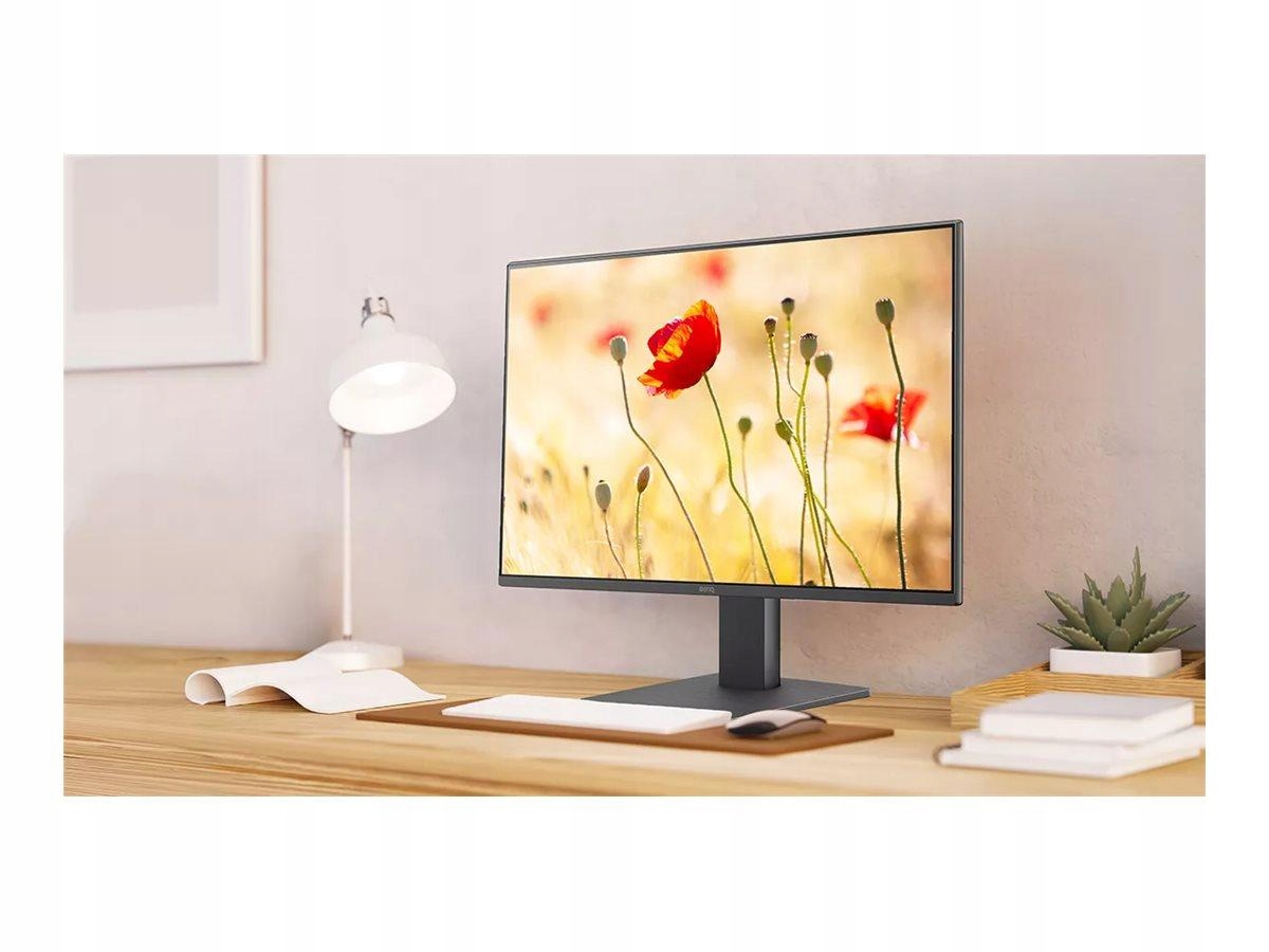Benq GW2491 24inch Fhd Ips 100HZ Hdmi/dp Monitor