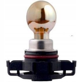 

Żarówka PSY24W Silvervision