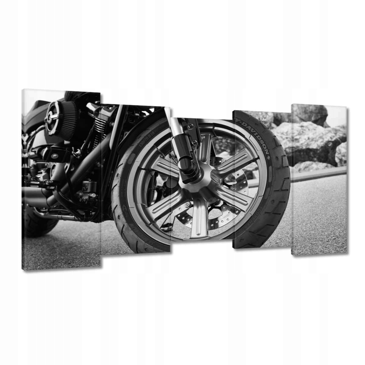 Obrazy 150x80 Harley Davidson Motocykl